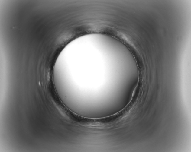 X0000086040685200704091151