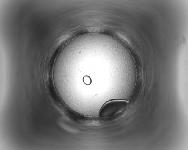 X0000086040687200704091151