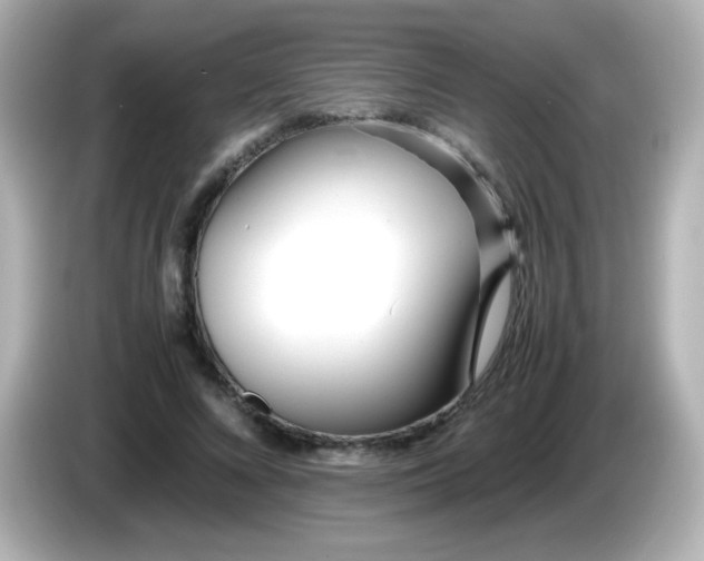 X0000086040688200704091151