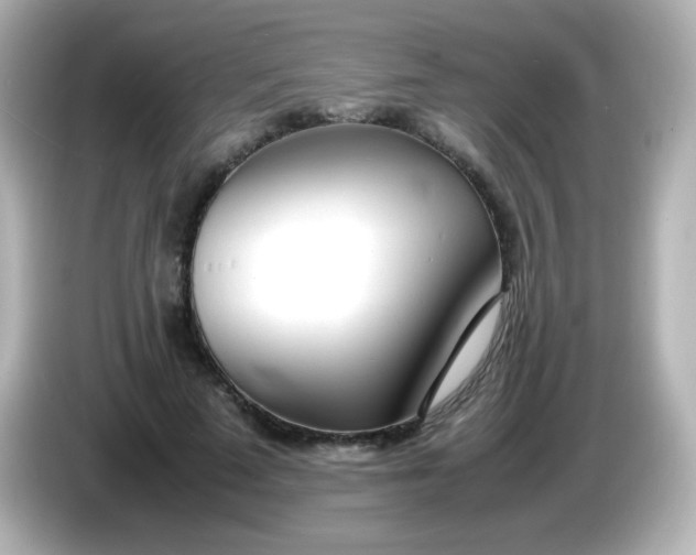 X0000086040689200704091151