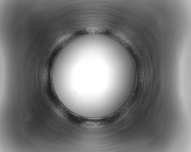 X0000086040690200704091151