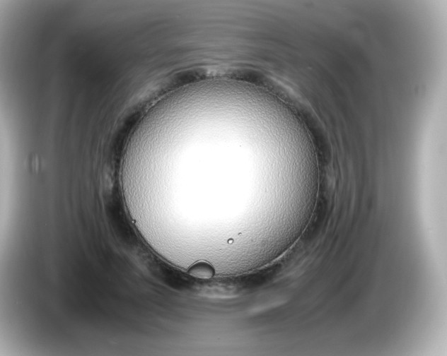 X0000086040691200704091151