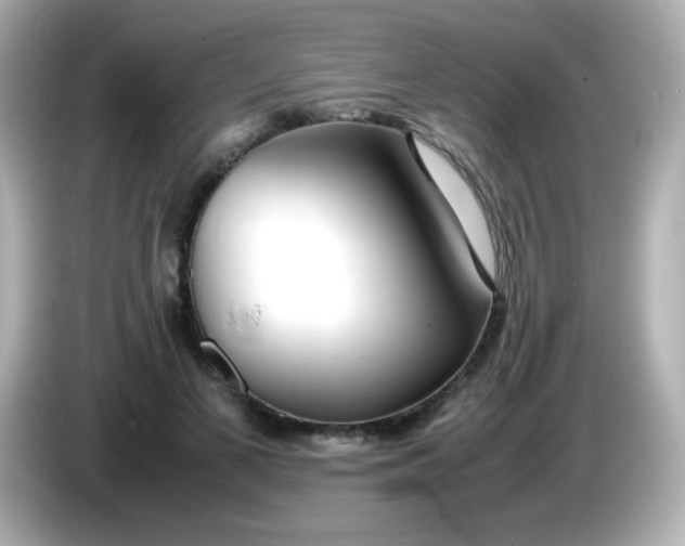 X0000086040693200704091151