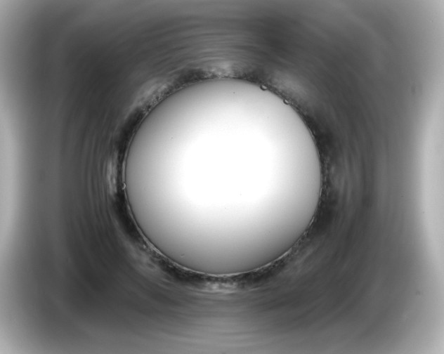 X0000086040694200704091151