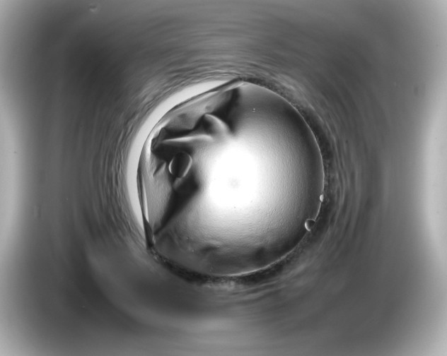X0000086040695200704091151
