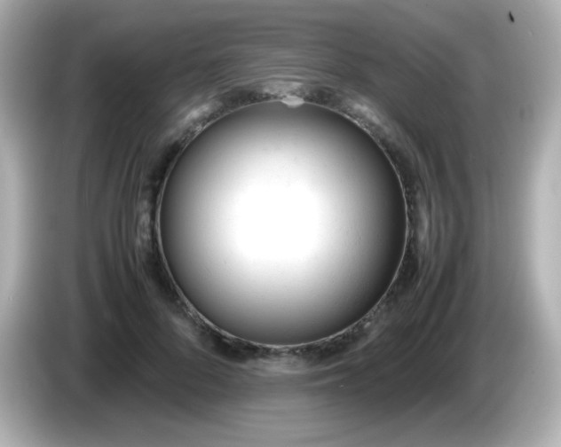 X0000086040696200704091151