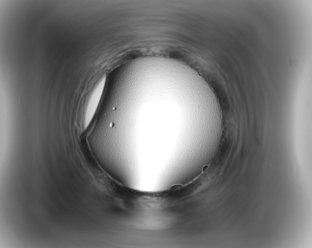 X0000086040699200704091151