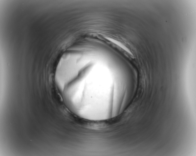 X0000086040716200704091150