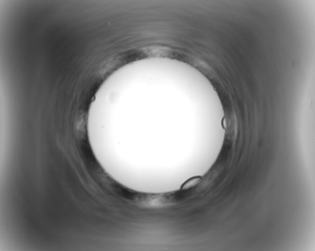 X0000086040717200704091150