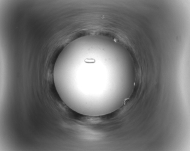 X0000086040719200704091150