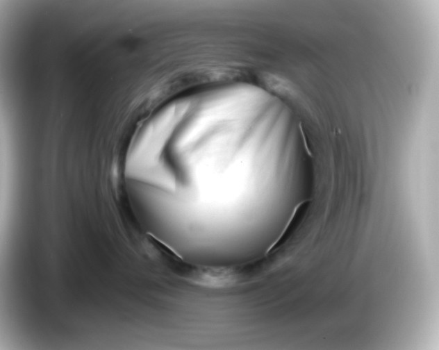 X0000086040720200704091150