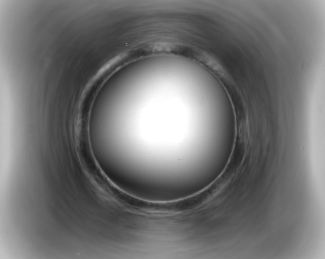 X0000086040722200704091150