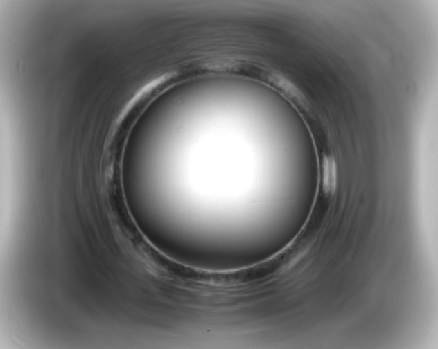 X0000086040723200704091150