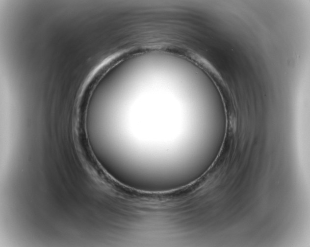 X0000086040724200704091150
