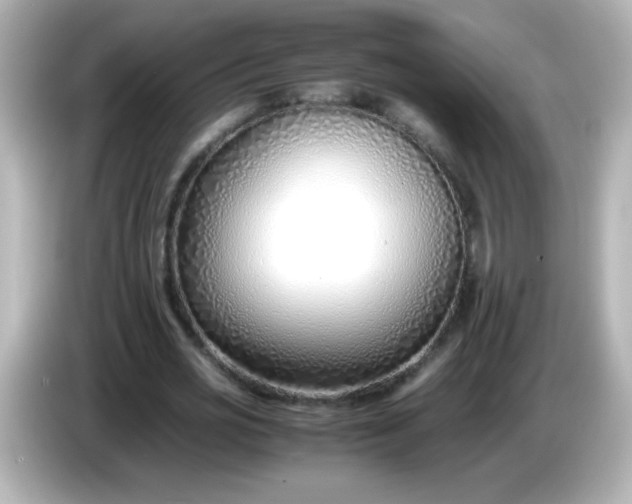 X0000086040725200704091150