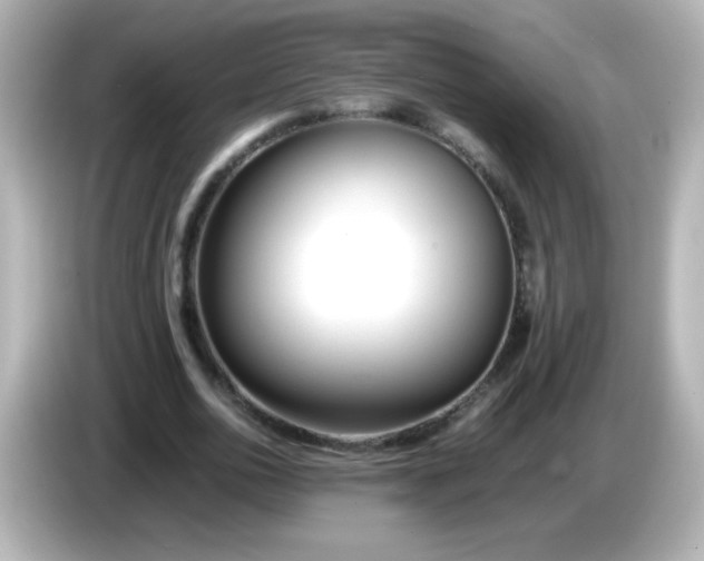 X0000086040726200704091150