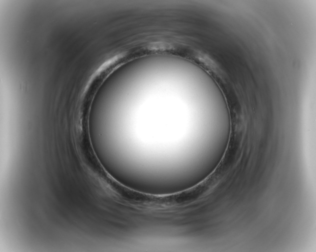 X0000086040727200704091150