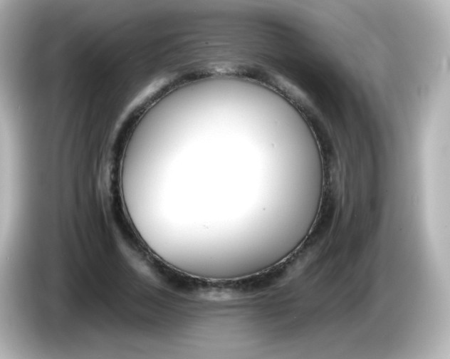 X0000086040730200704091150
