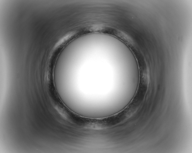 X0000086040732200704091150