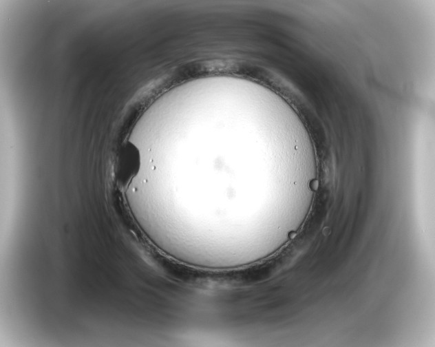 X0000086040733200704091150