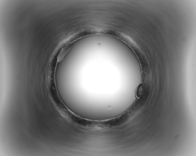X0000086040736200704091150