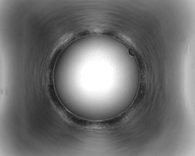 X0000086040738200704091150