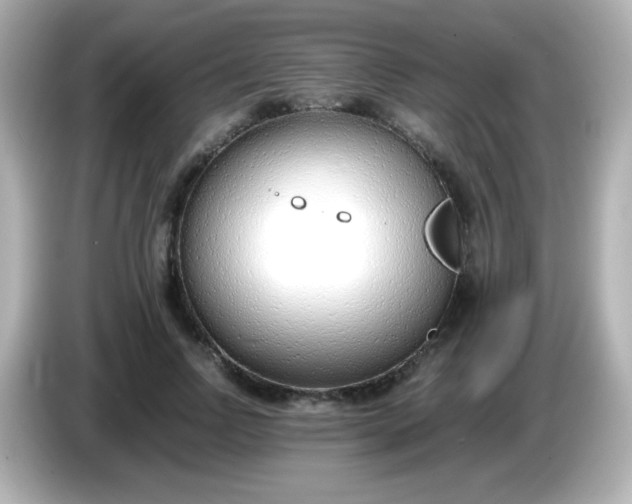 X0000086040742200704091150