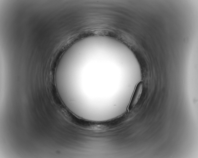 X0000086040748200704091150