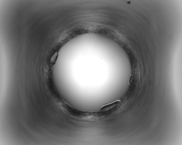 X0000086040750200704091150