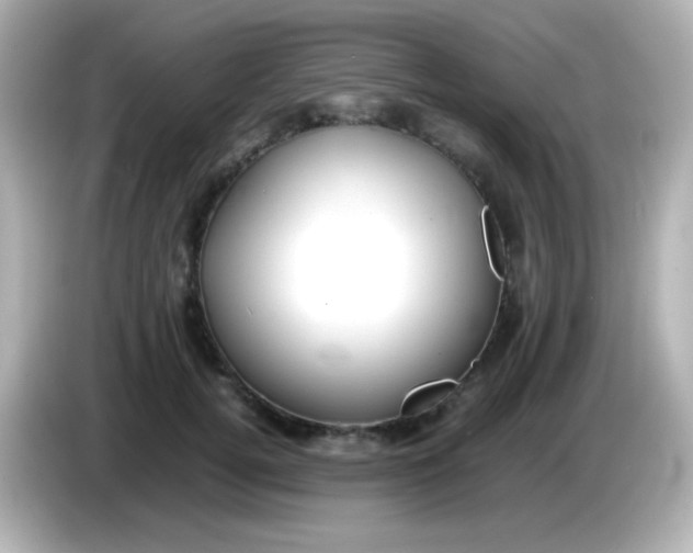 X0000086040752200704091150