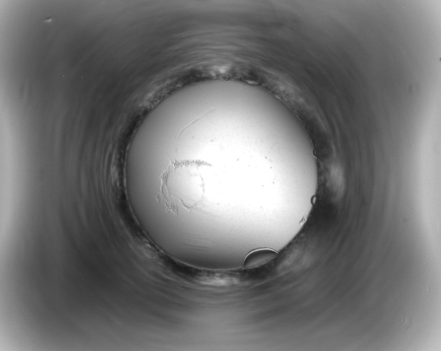 X0000086040754200704091150
