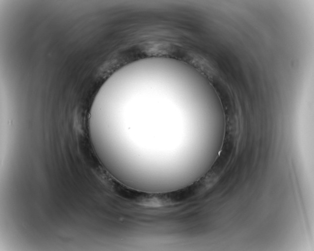 X0000086040755200704091150