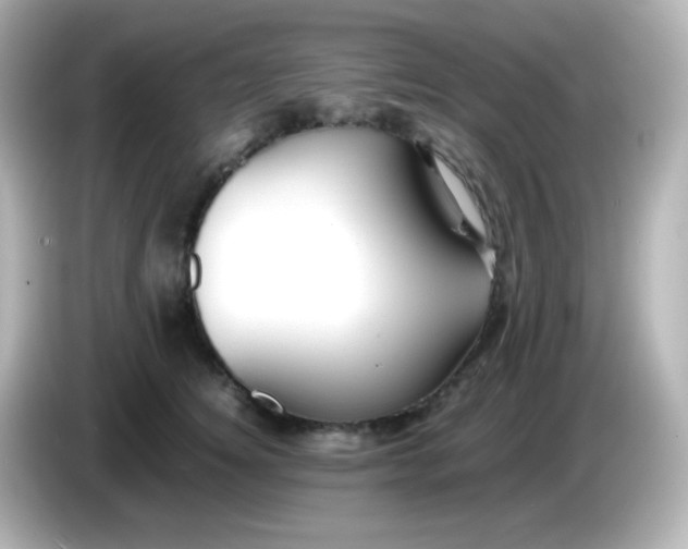 X0000086040756200704091150