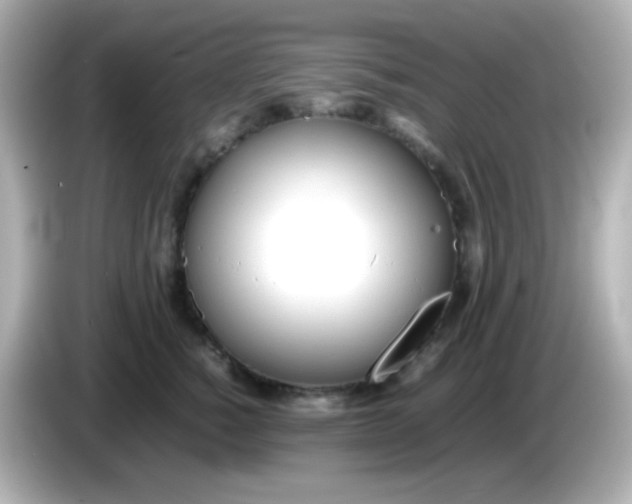 X0000086040760200704091150
