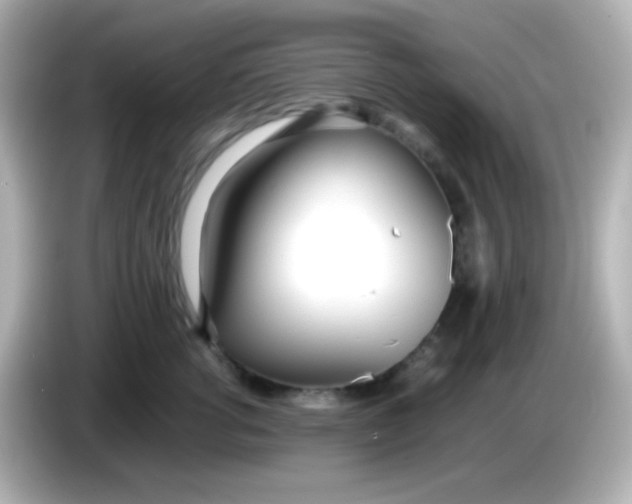 X0000086040762200704091150