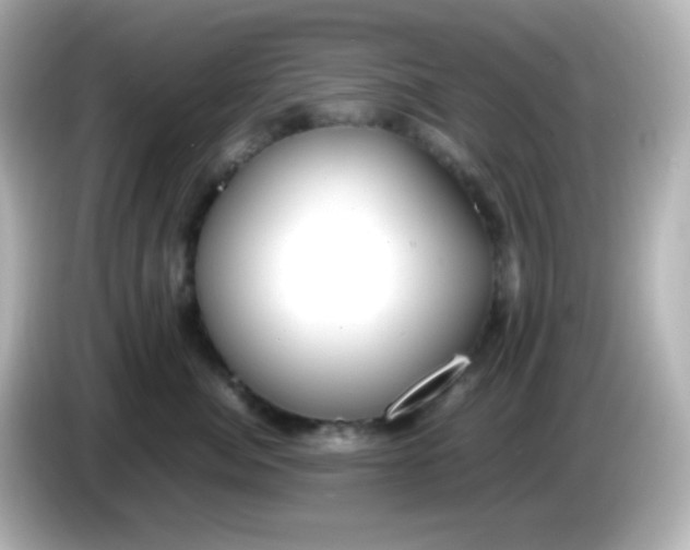 X0000086040764200704091150