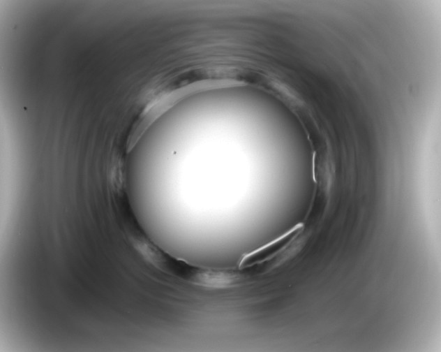 X0000086040766200704091150