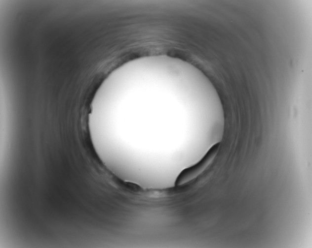 X0000086040768200704091150