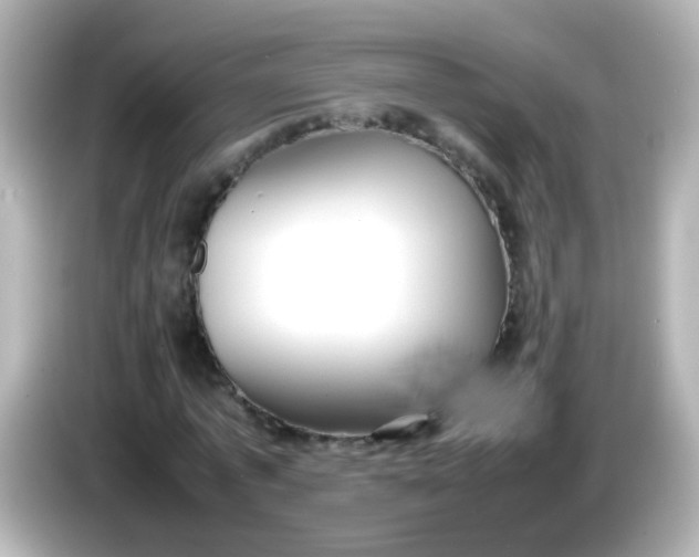 X0000086040773200704091150