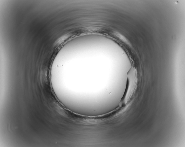 X0000086040777200704091150