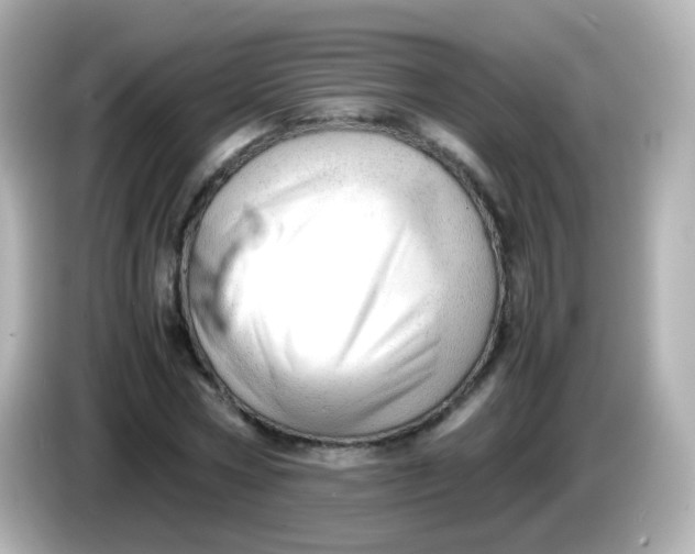 X0000086040778200704091150