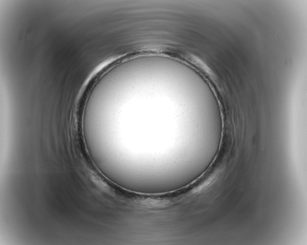 X0000086040779200704091150