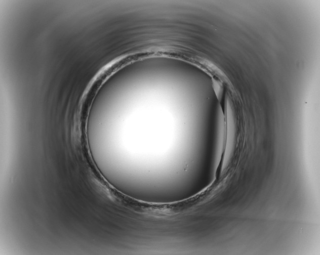 X0000086040784200704091150
