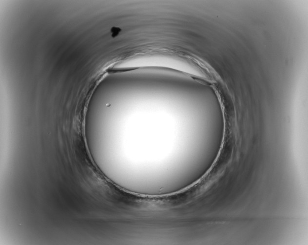 X0000086040785200704091150