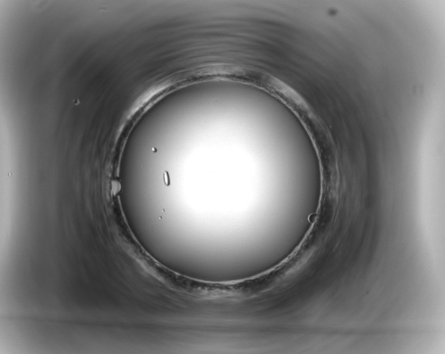 X0000086040786200704091150