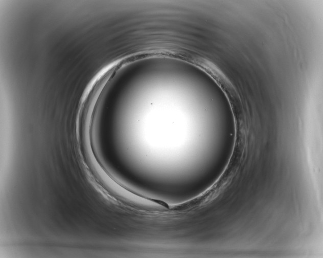 X0000086040788200704091150