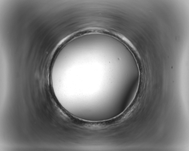 X0000086040791200704091150