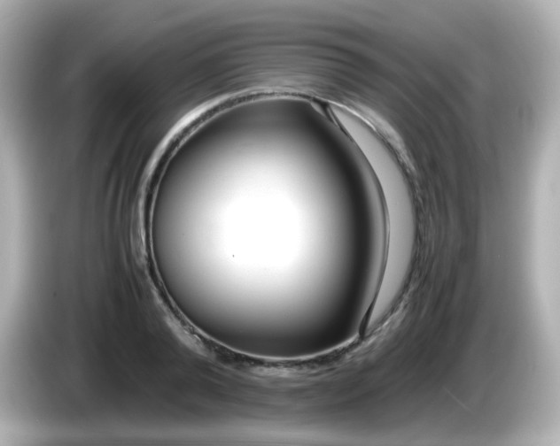 X0000086040792200704091150