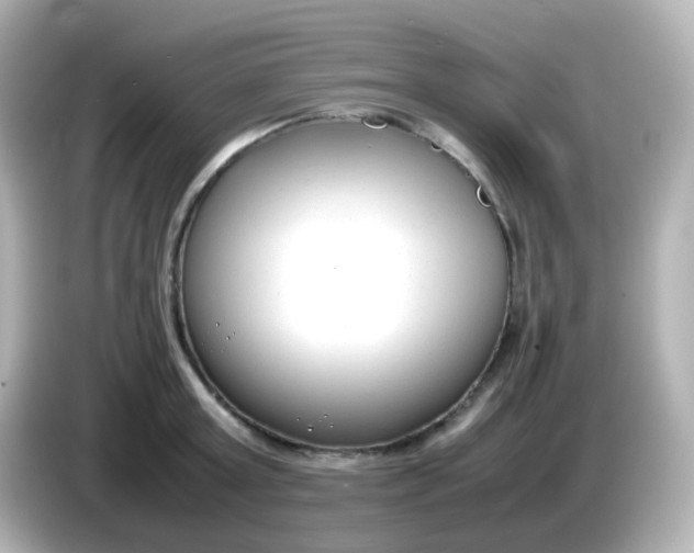 X0000086040803200704091149