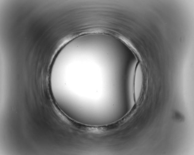X0000086040805200704091149